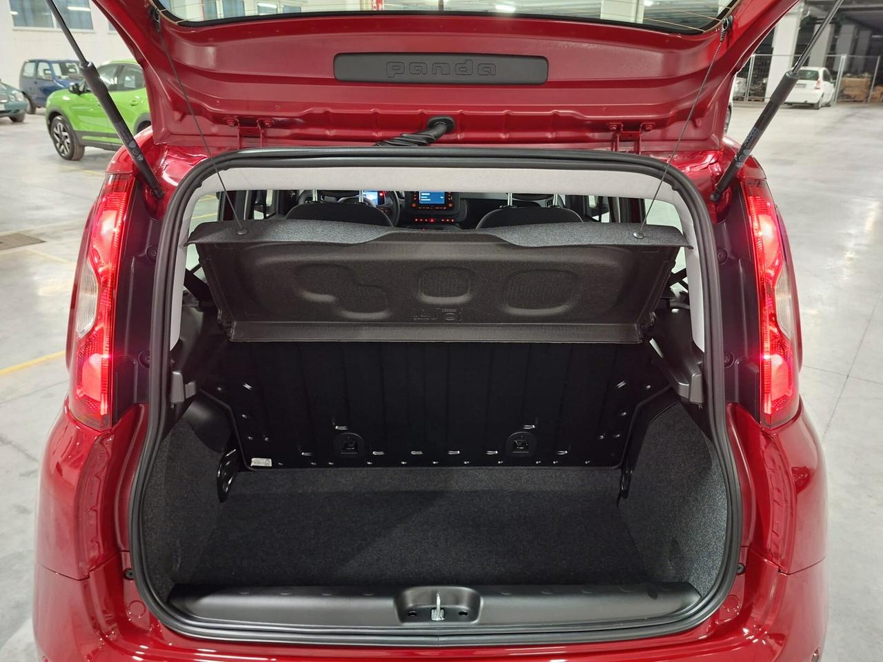 Fiat Panda 1.0 FireFly Hybrid 70CV Icon Km.0 (414)