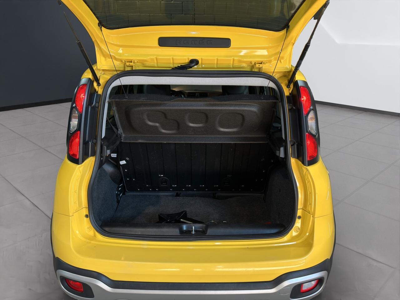 Fiat Panda 4x4 1.3 mjt 16v Cross 80cv