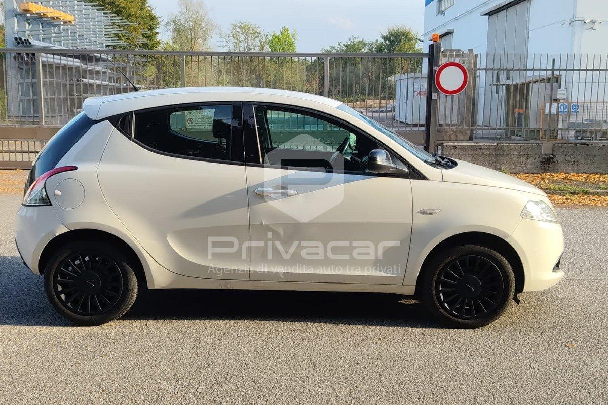 LANCIA Ypsilon 1.2 69 CV 5 porte Elefantino