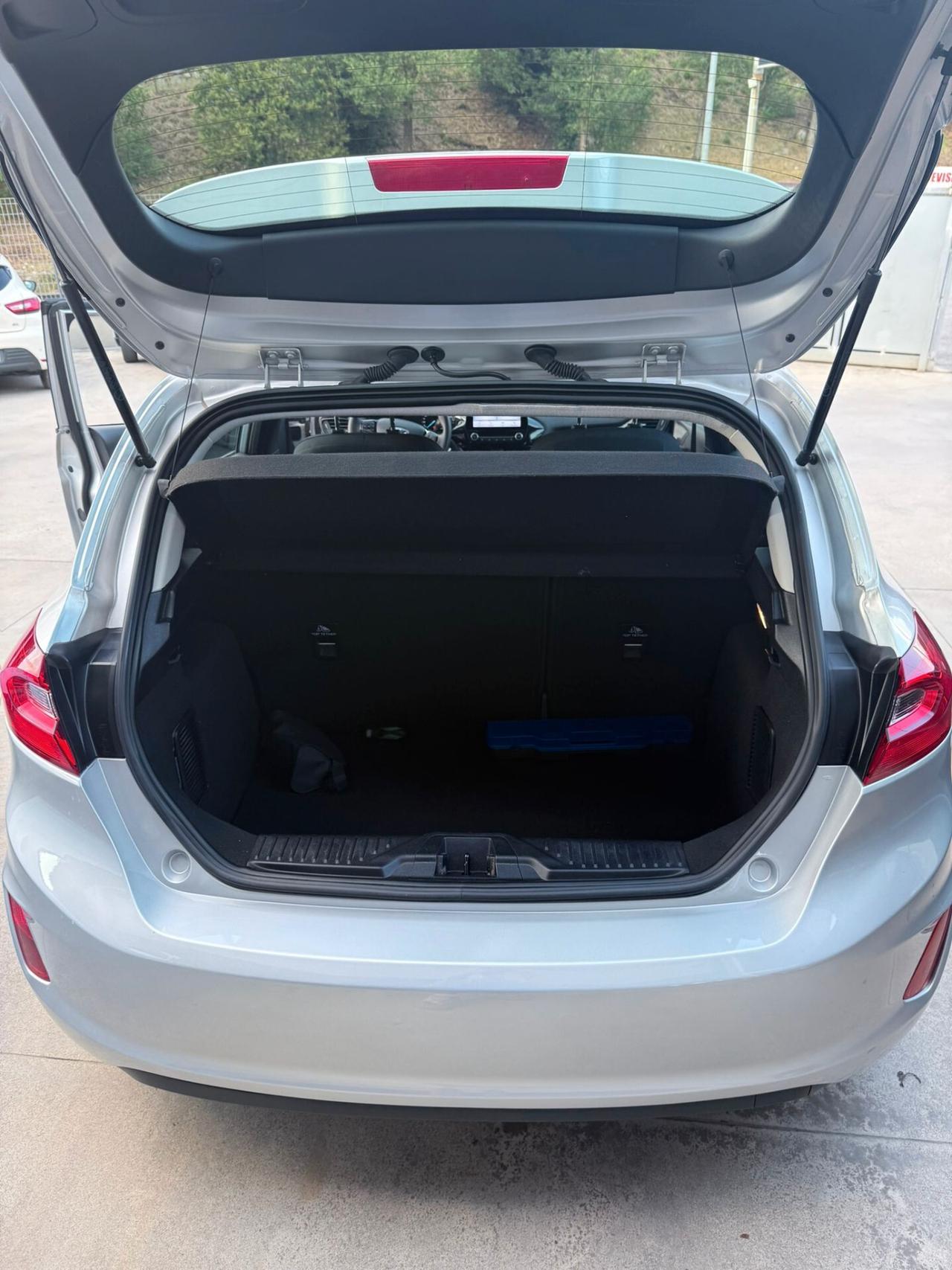 Ford Fiesta 1.1 75 CV GPL 5 porte Business