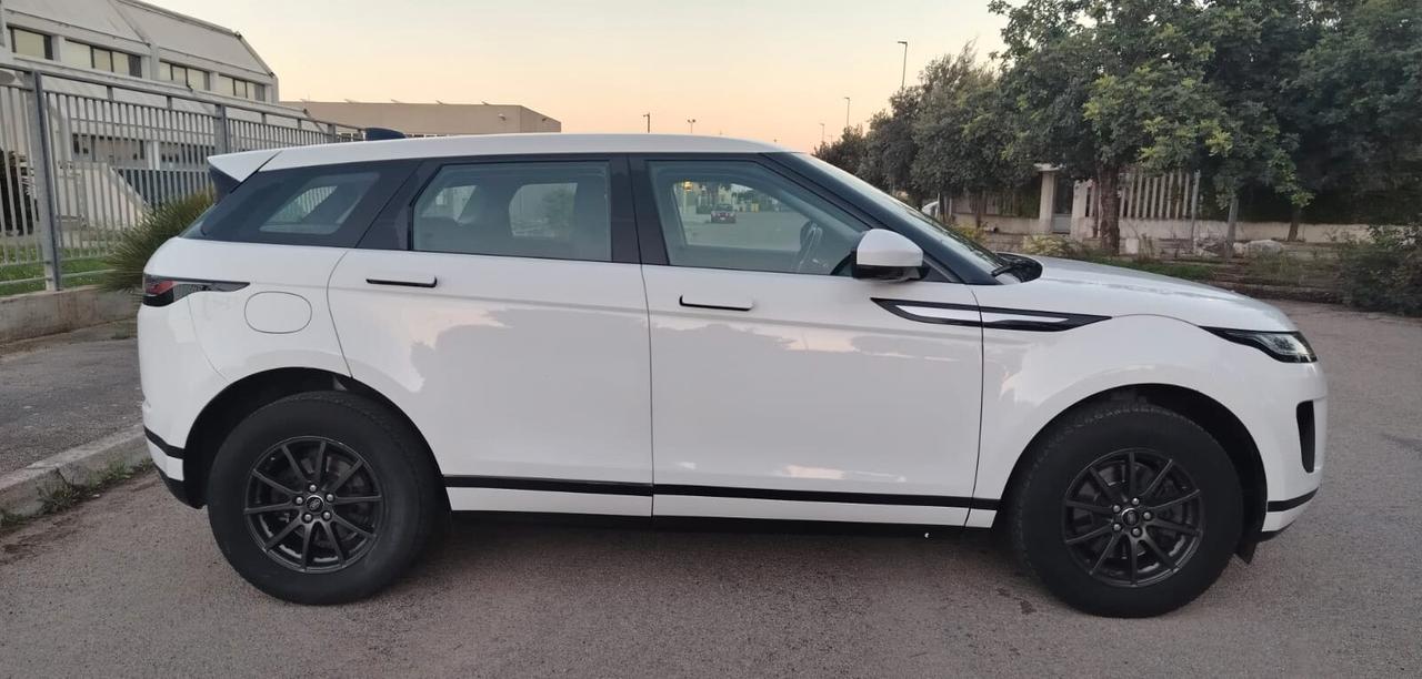 Land Rover Range Evoque Mild-Hybrid