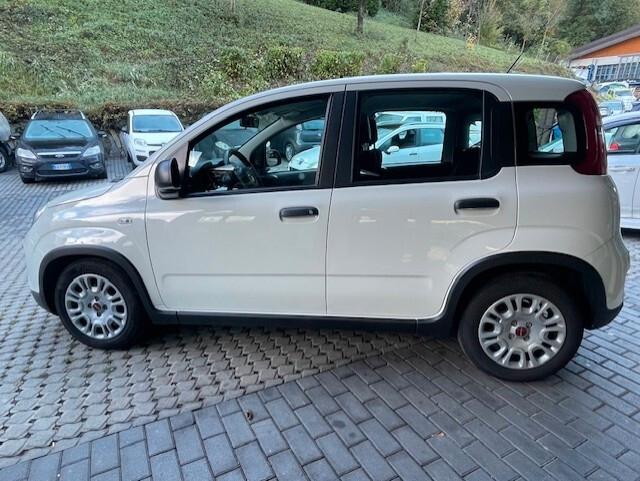Fiat Panda 1.0 FireFly S&S Hybrid 2024