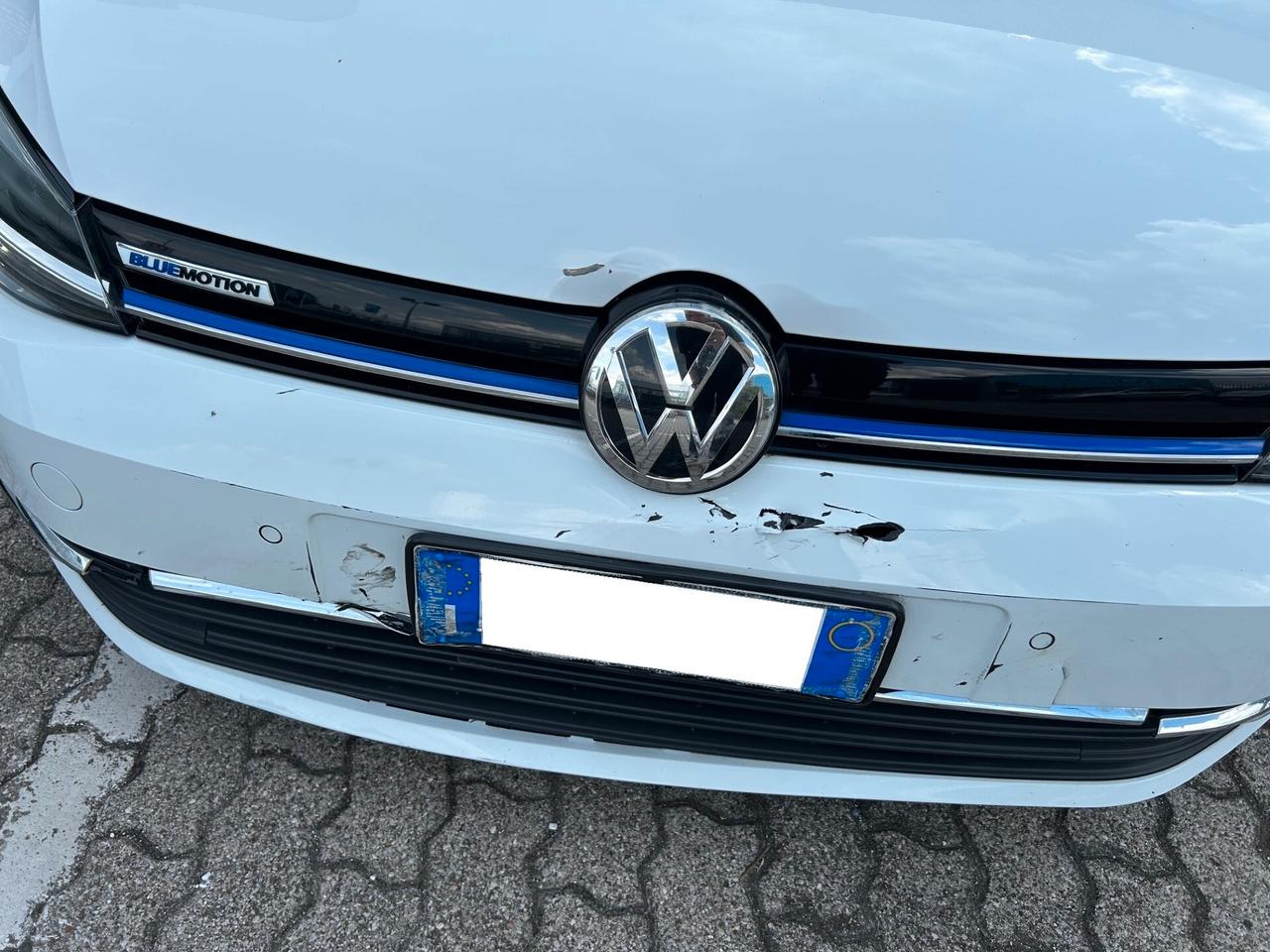 Volkswagen Golf 5p 1.5 tgi Executive 130cv dsg