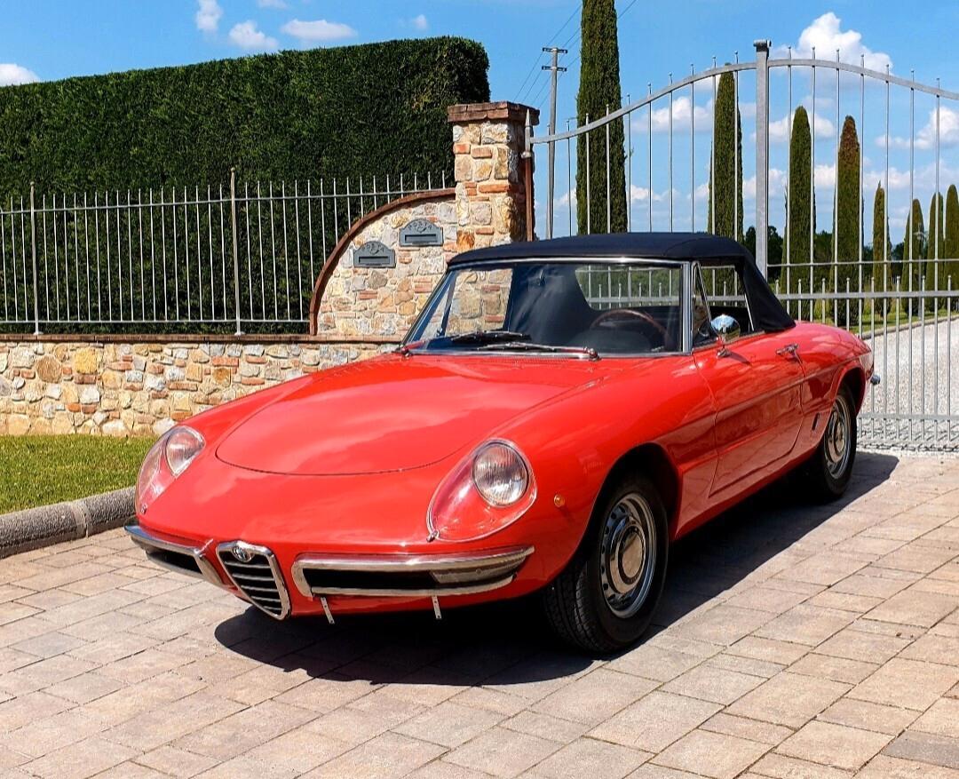 Alfa Romeo Spider Duetto osso di seppia 1750