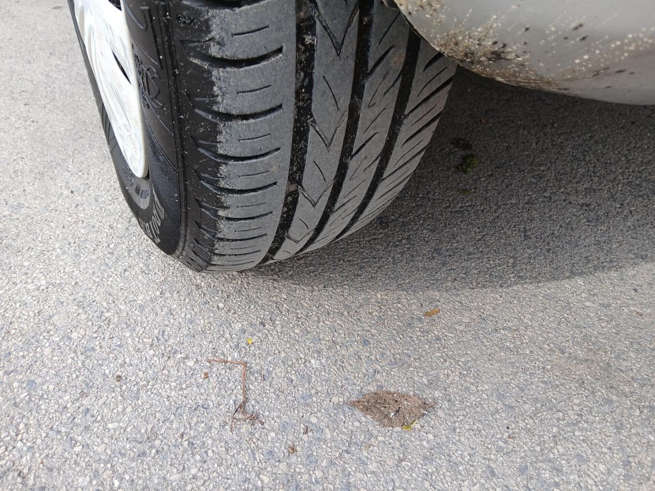 Fiat Punto Evo 1.4 5 porte Dynamic Natural Power