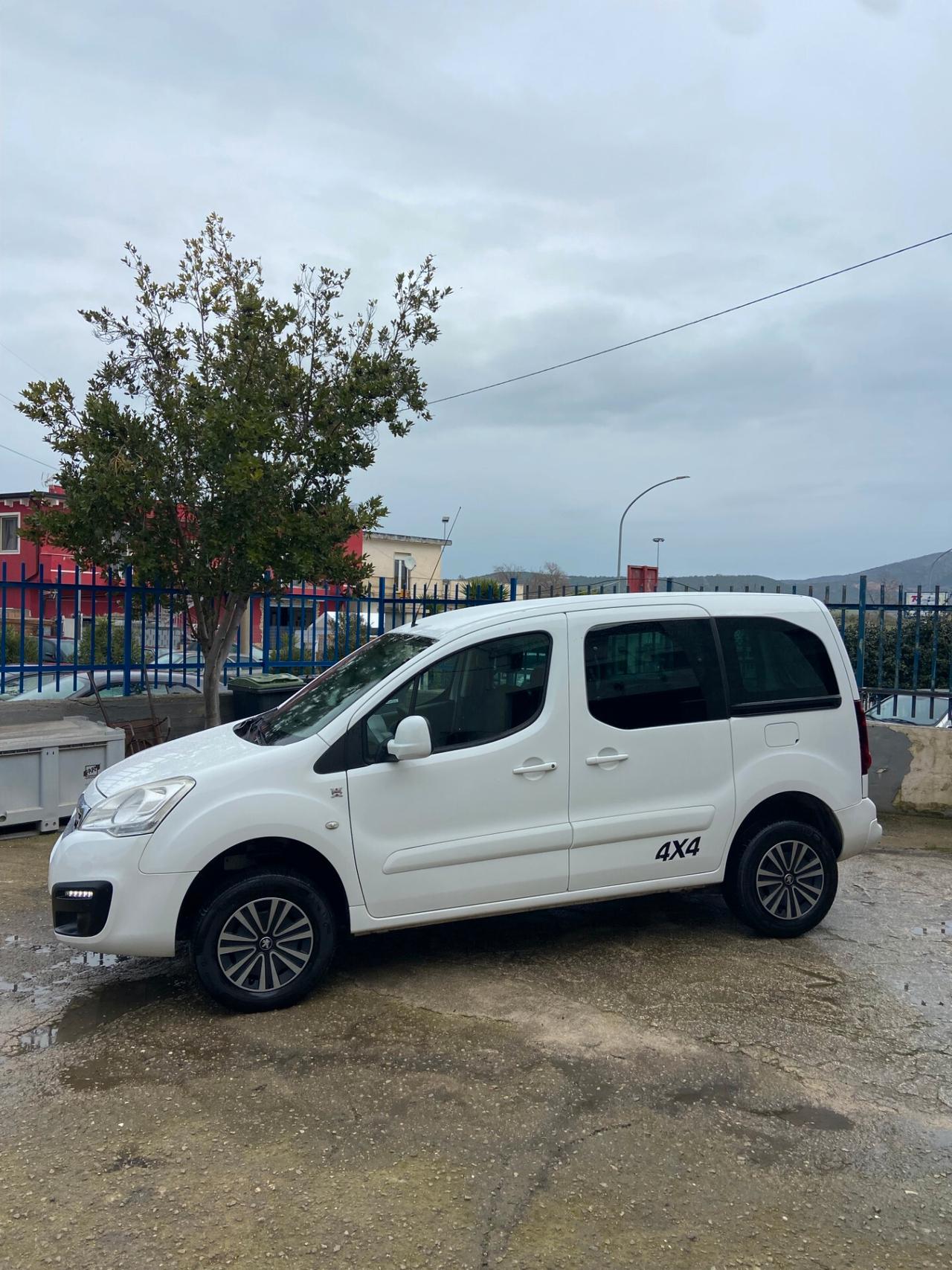 Peugeot Partner HDi 100 CV 4x4 DANGEL OUTDOOR