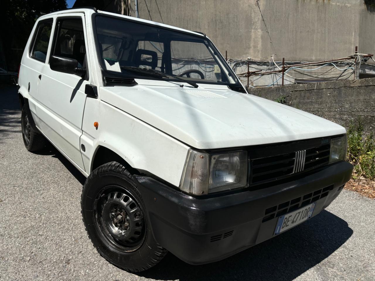 Fiat Panda 900 i.e. cat Young