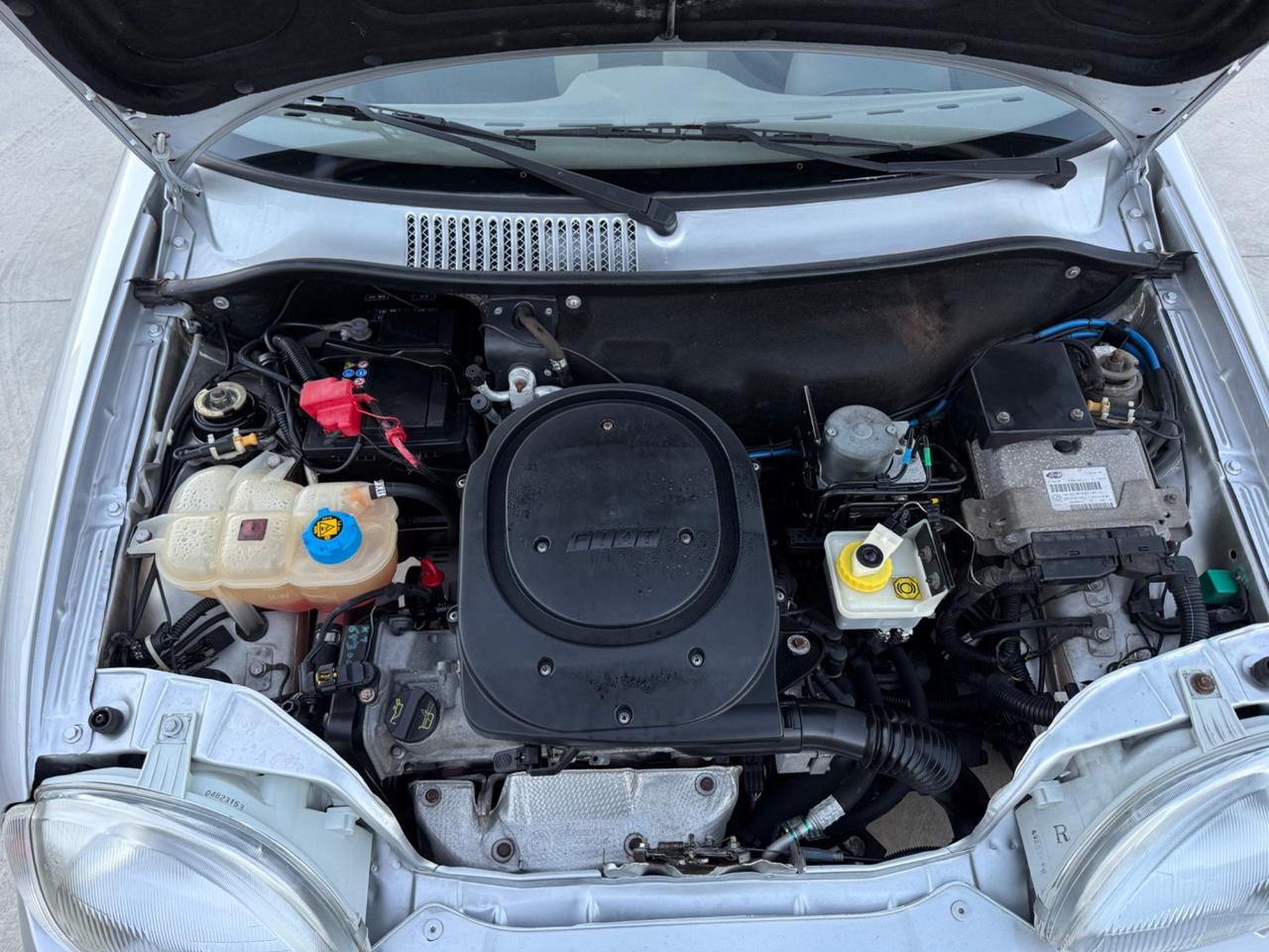 Fiat 600 1.1 50th Anniversary