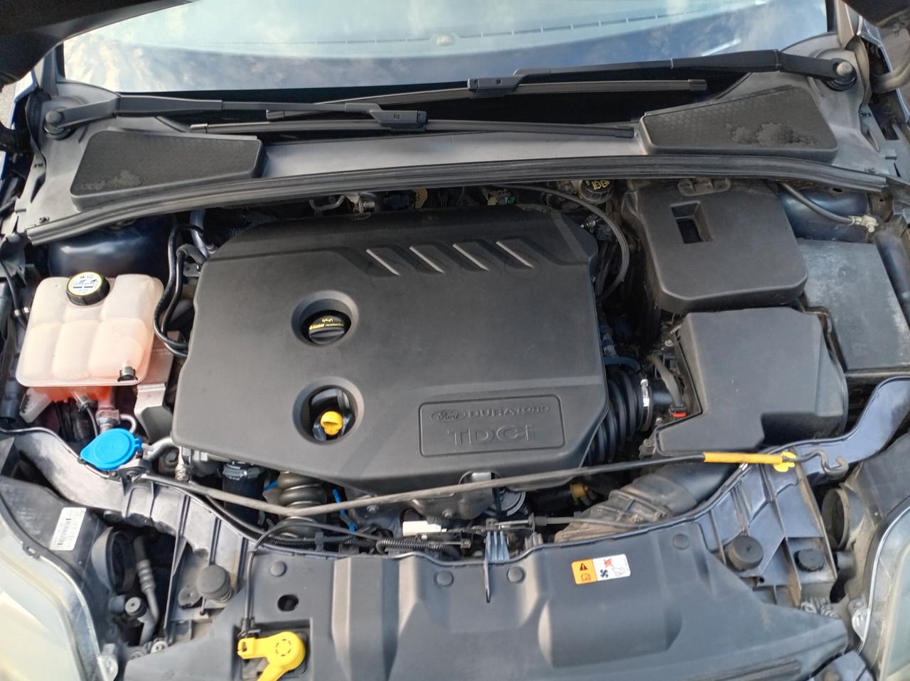 Ford Focus 1.6 TDCi 115 CV SW
