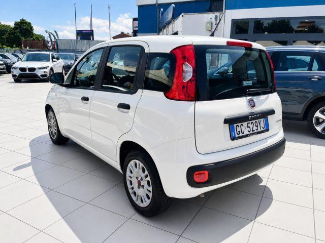 FIAT Panda Hybrid 1.0 S&S 69 Cv Neo Patentati