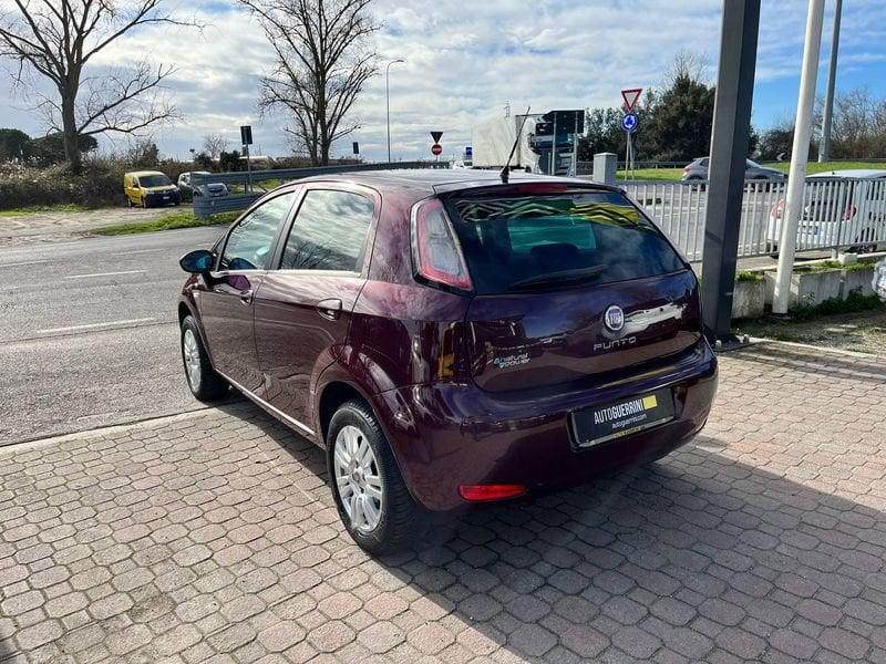 FIAT Punto Punto 1.4 8V 5 porte Natural Power Easy