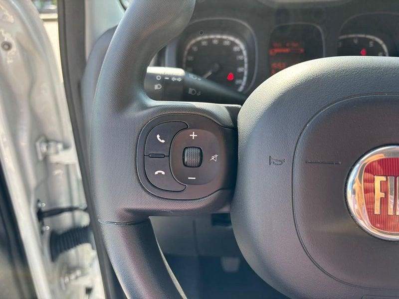 FIAT Panda Pandina 1.0 FireFly Hybrid 70cv S&S 1.0 FireFly Hybrid 70cv S&S