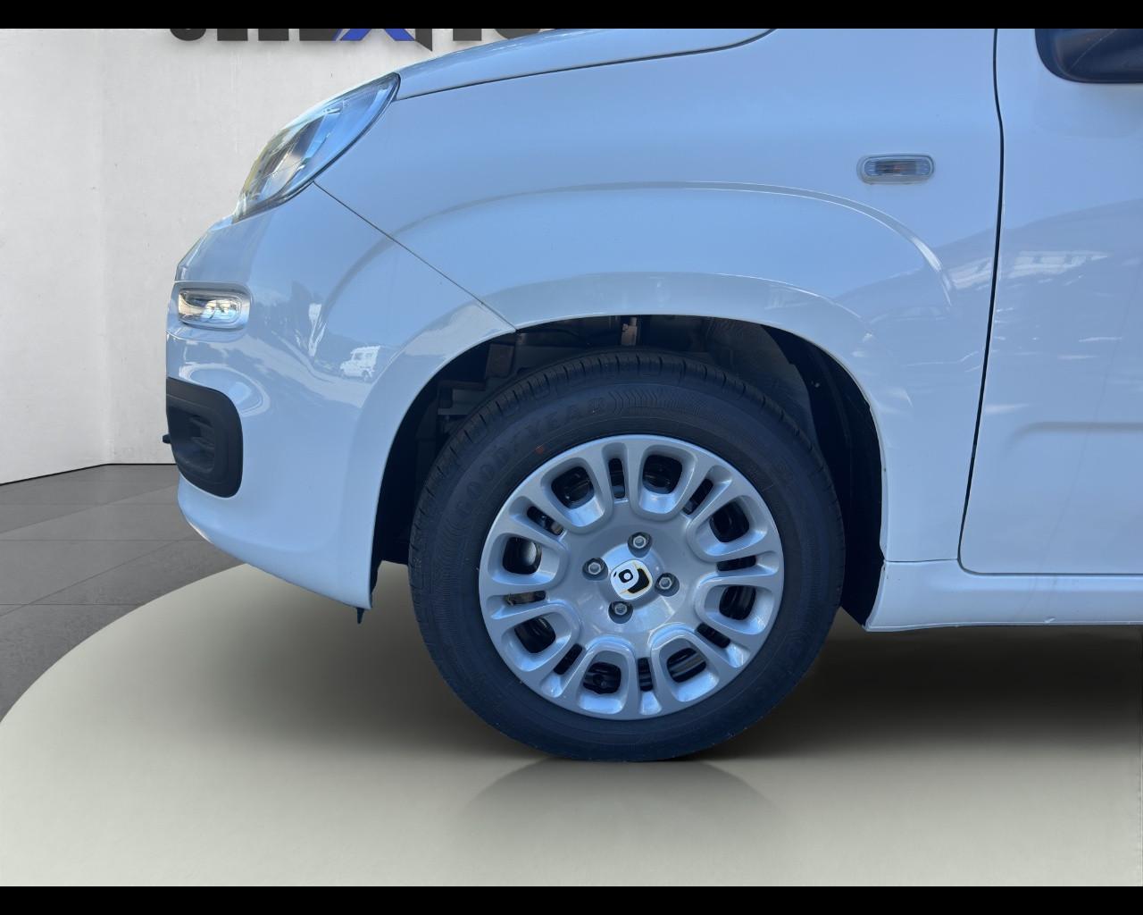 FIAT Pandina My26 1.0 65cv Hybrid Icon