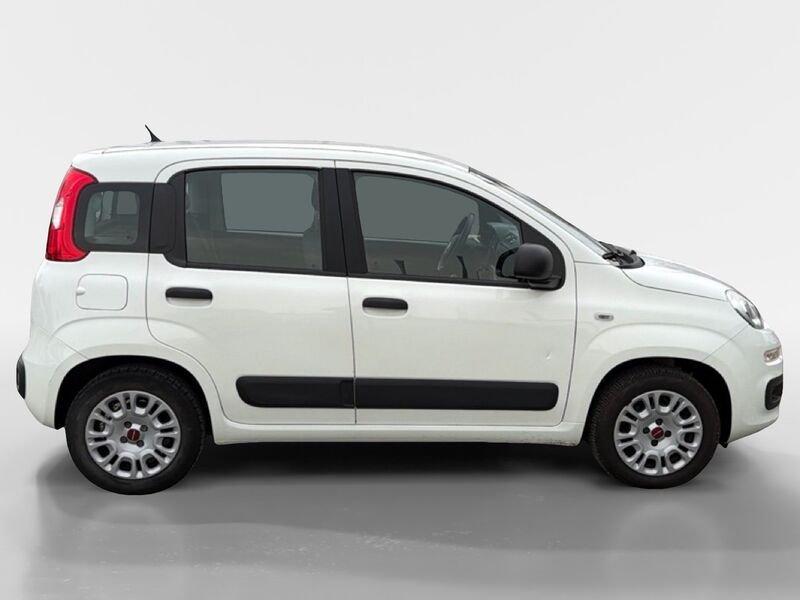 FIAT Panda 1.2 69cv E6 Easy