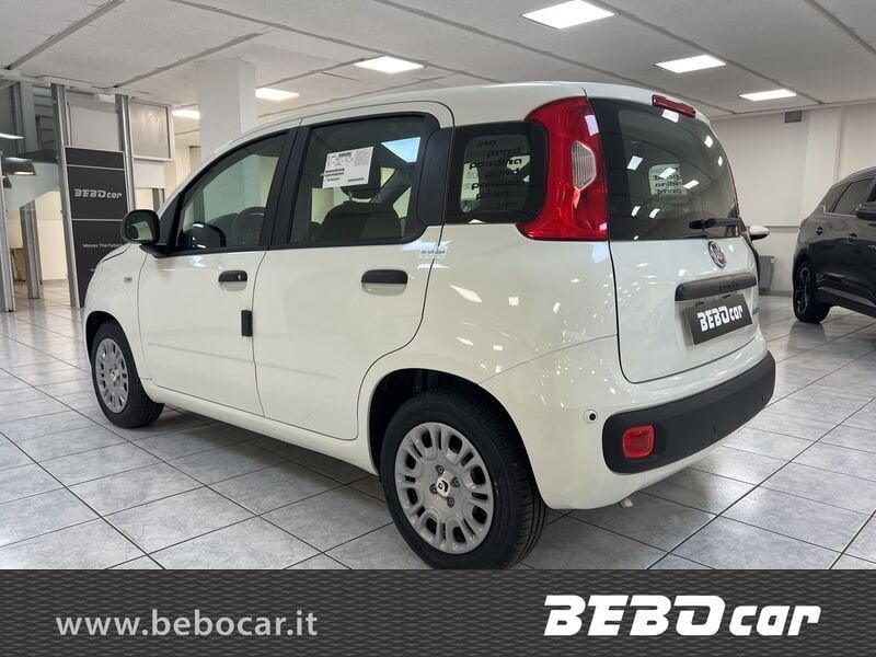 FIAT Pandina 1.0 FireFly 65cv S&S 6m Hybrid Icon