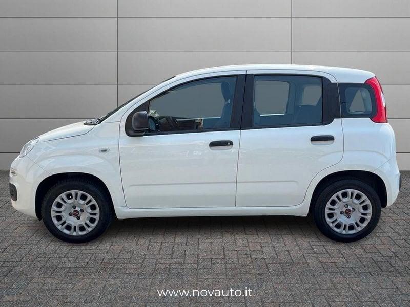 FIAT Panda 1.2 69cv S&S Easy