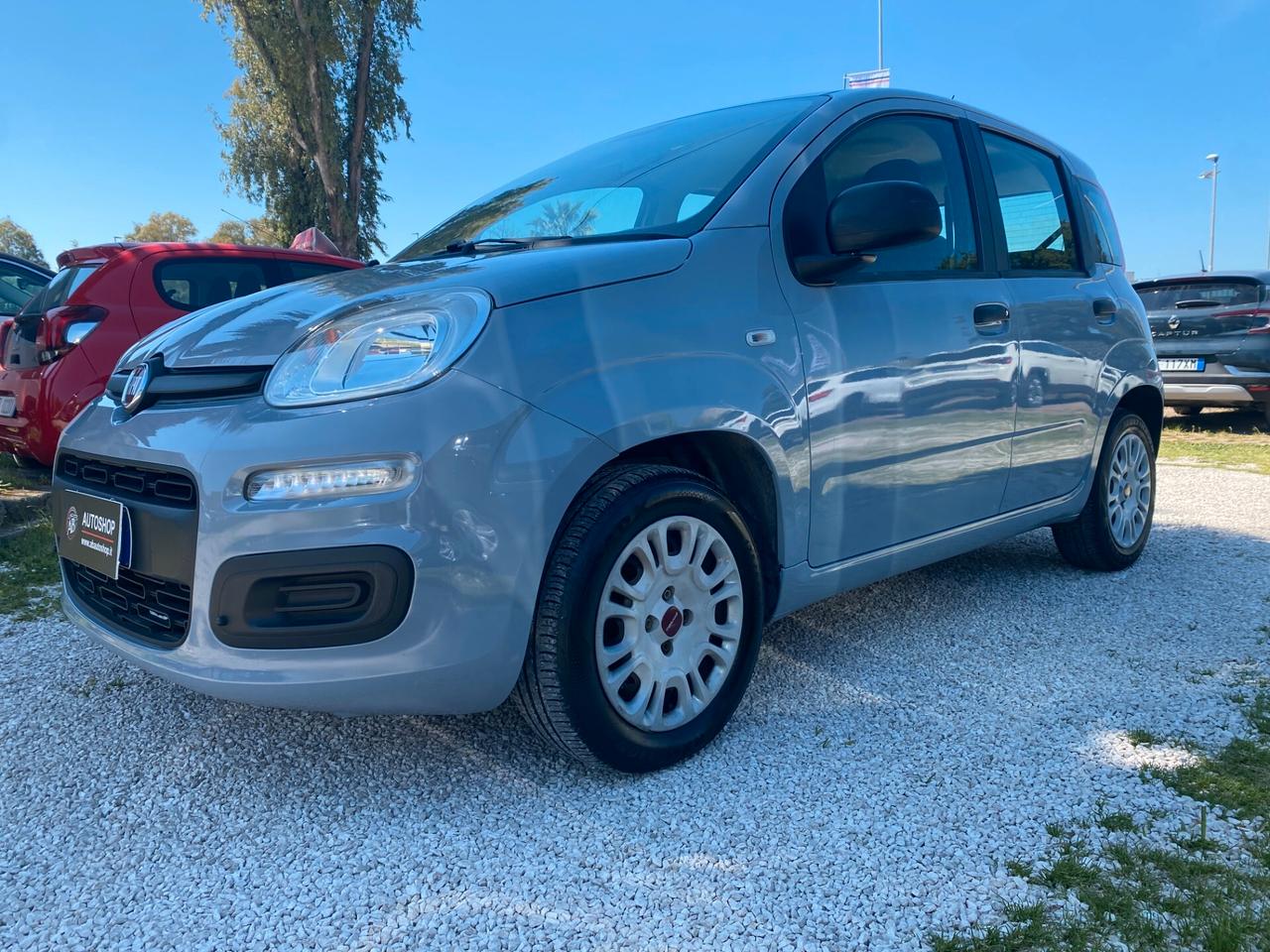 FIAT - Panda - 1.2 Easy - NEOPATENTATI - FINANZIABILE - PERMUTE