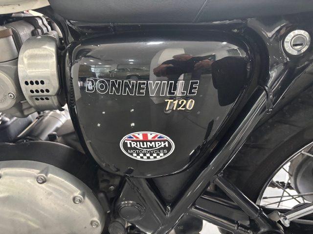 TRIUMPH Bonneville T120 TRIUMPH Dolomite BONNEVILLE T120