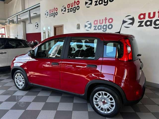 Fiat Panda 1.0 firefly Hybrid S&S 70 cv