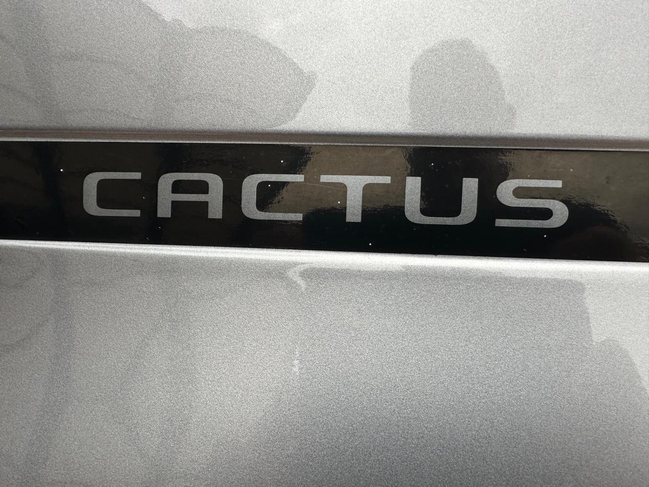 Citroen C4 Cactus BlueHDi 100 S&S Shine