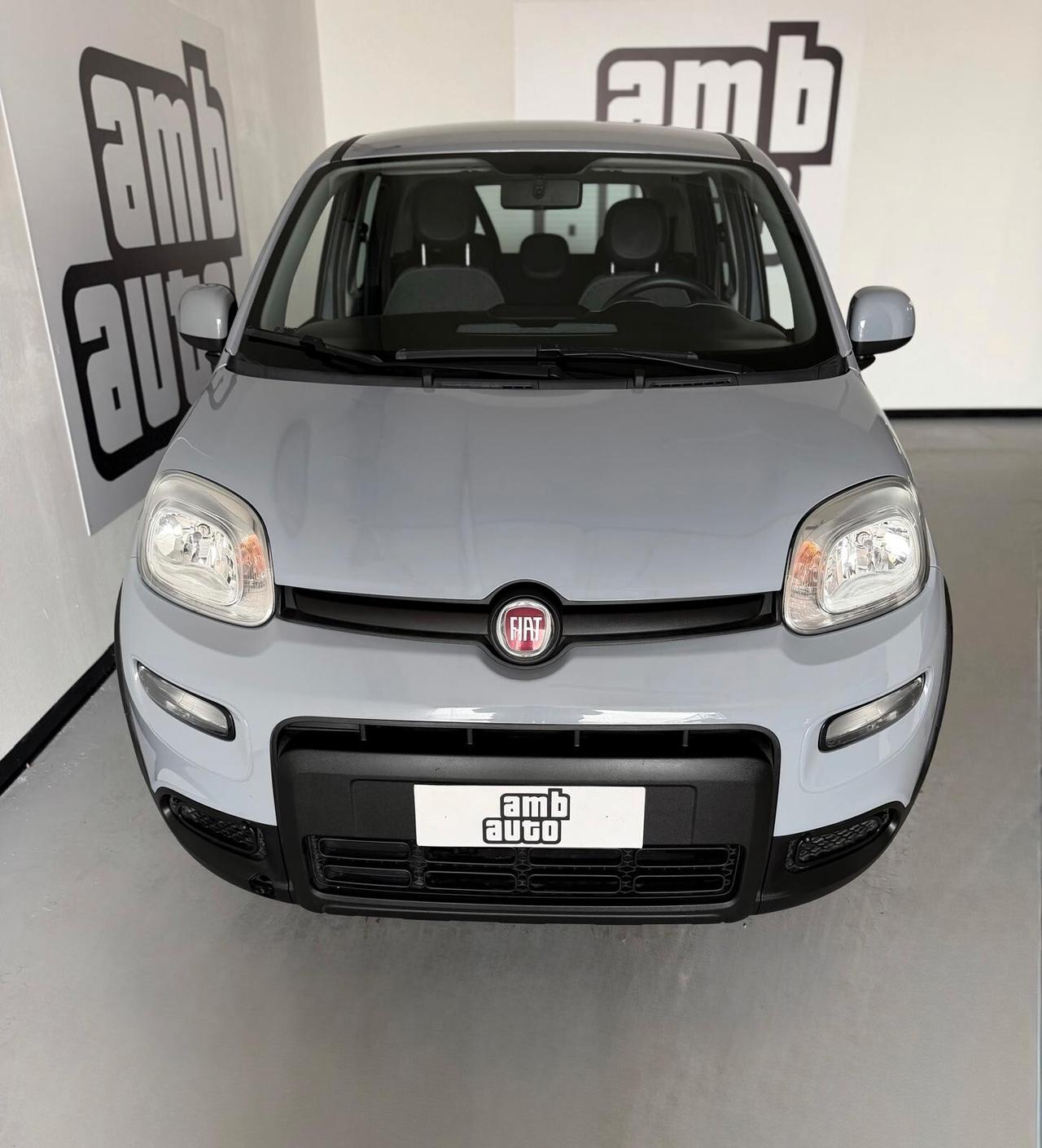 Fiat Panda 1.0 FireFly S&S Hybrid