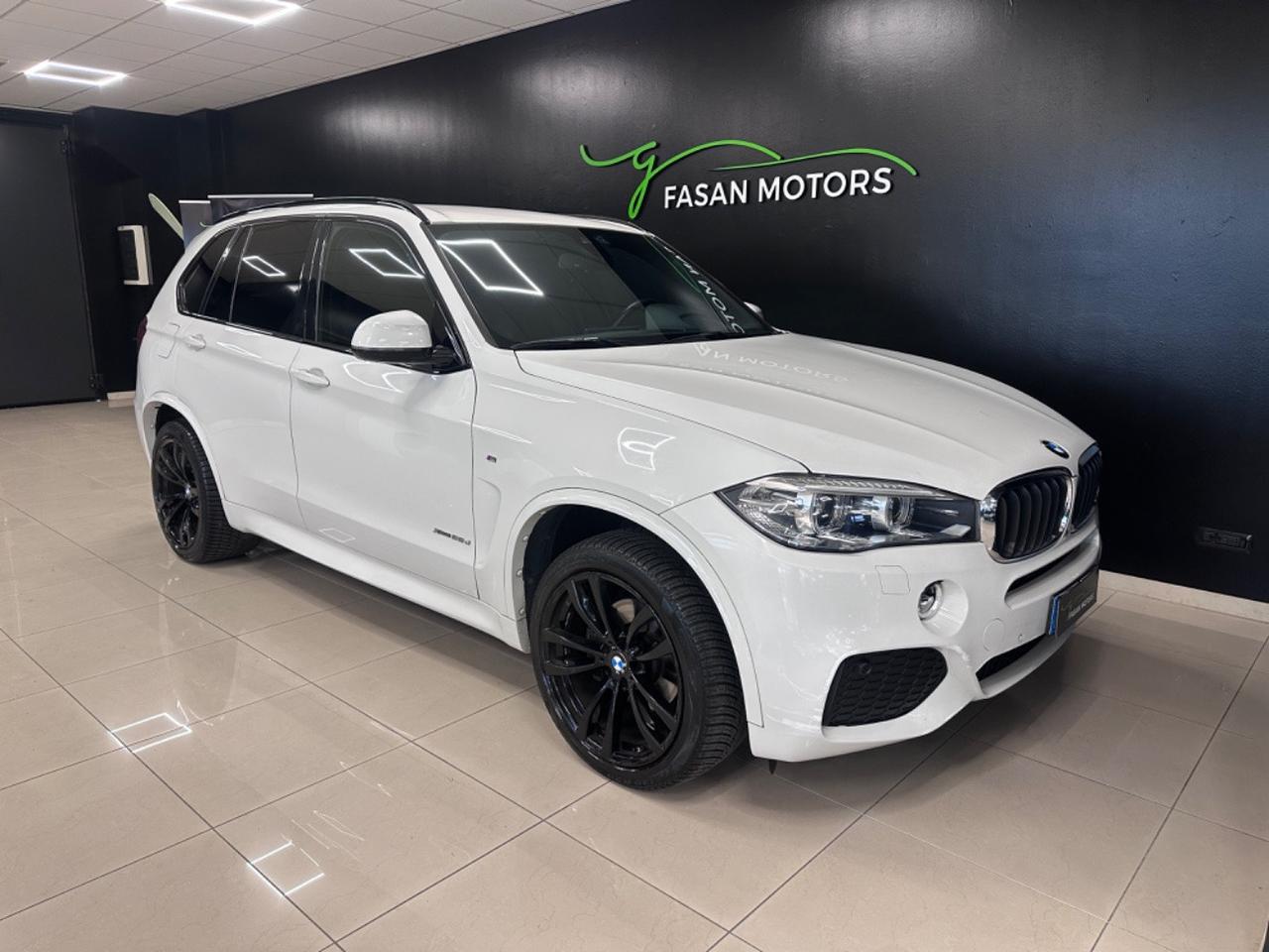 BMW X5 xdrive25d Luxury 231cv auto
