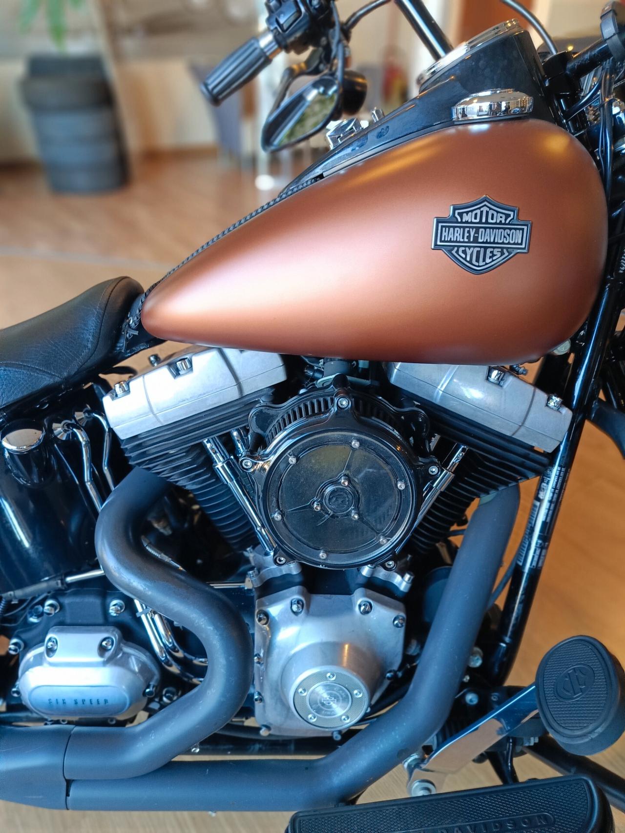 Harley-davidson Softail Cross Bones FLSTSB