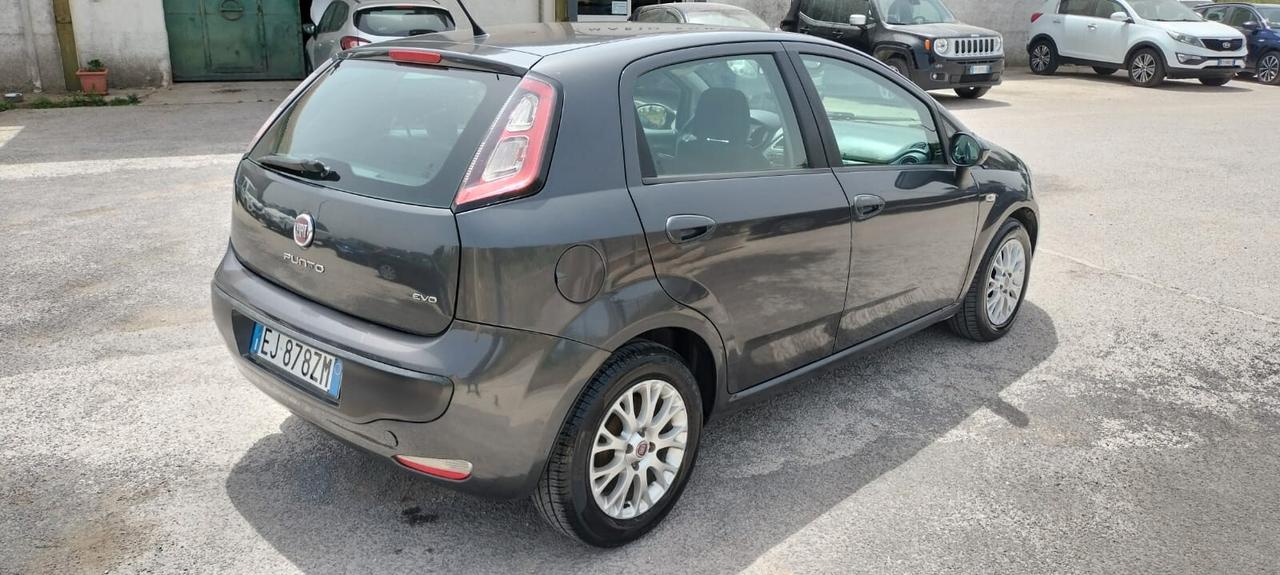 Fiat Punto Evo Punto Evo 1.3 Mjt 95 CV DPF 5 porte S&S Dynamic