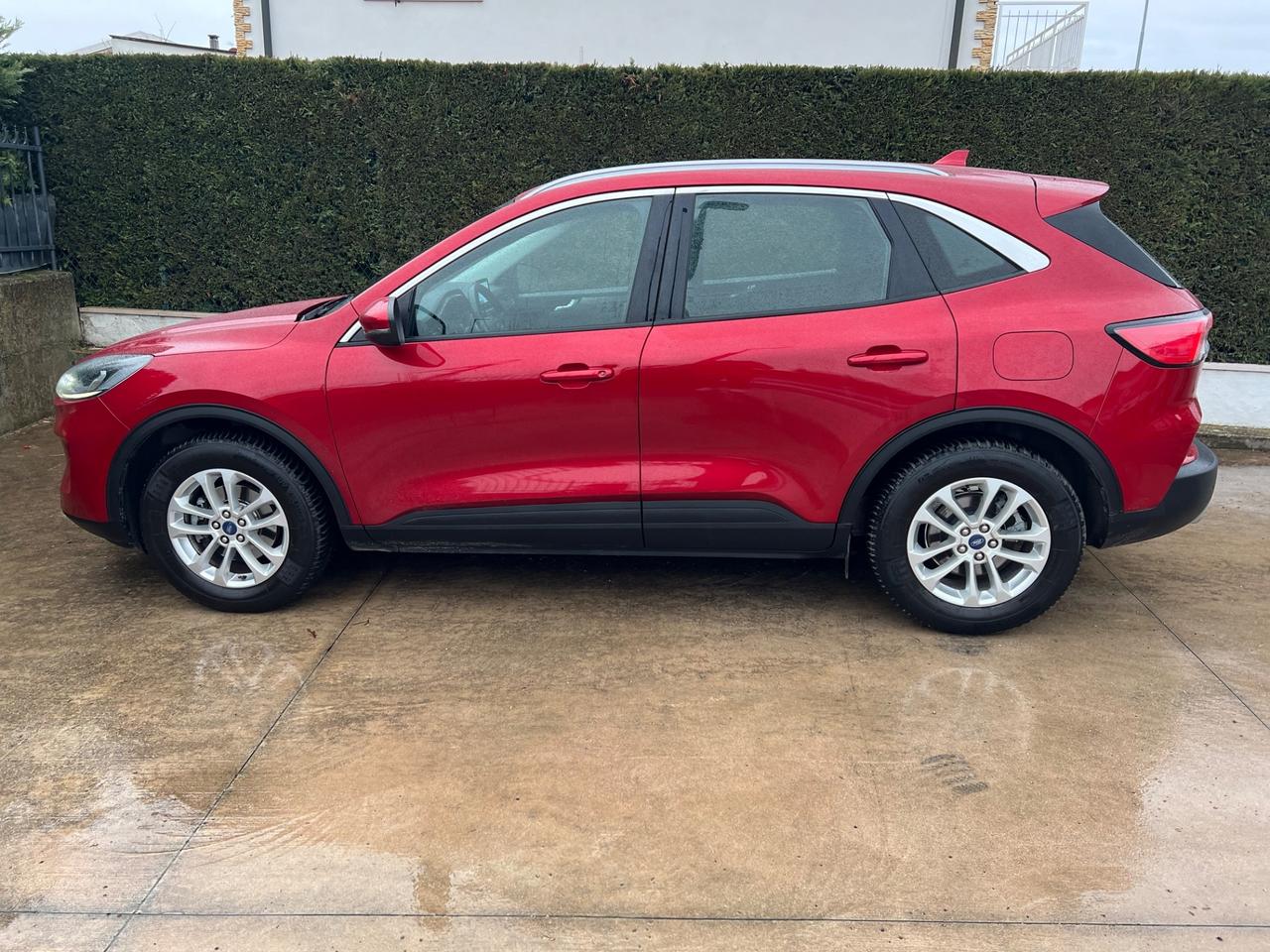 Ford Kuga 2.0 EcoBlue Hybrid 150 CV 2WD Titanium Business