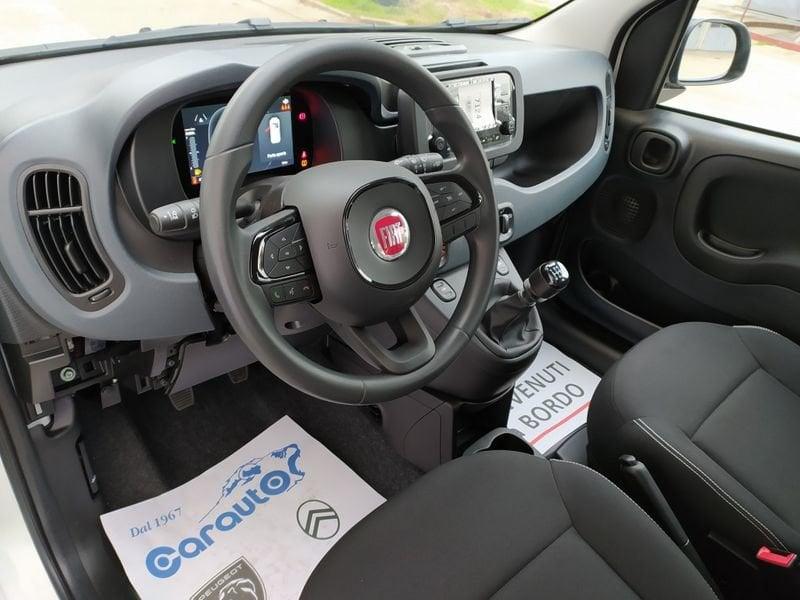 FIAT Panda 1.0 70cv Hybrid Promo Cbc26