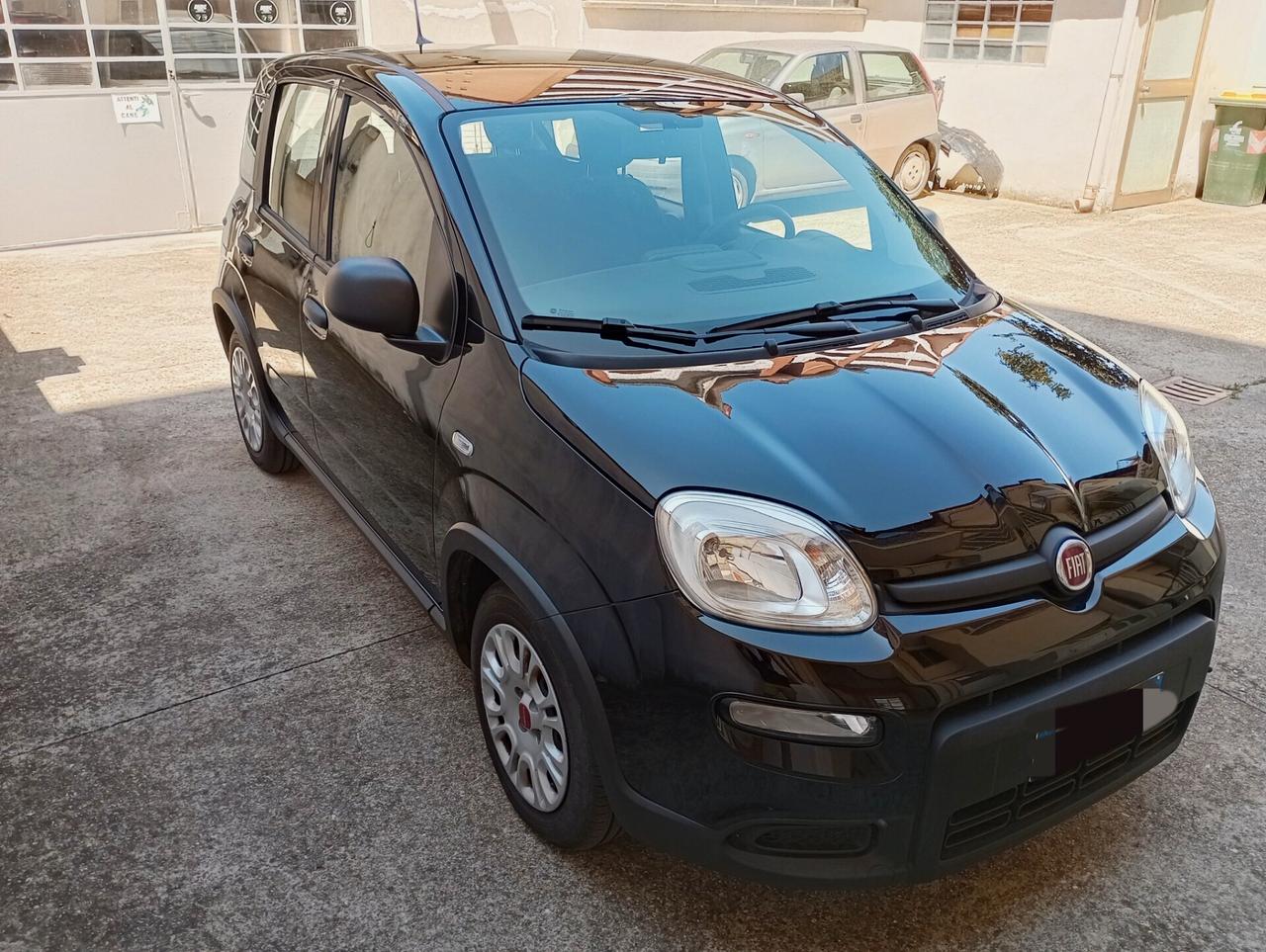 PROMO 31/07Fiat Panda 1.0 FireFly S&S Hybrid