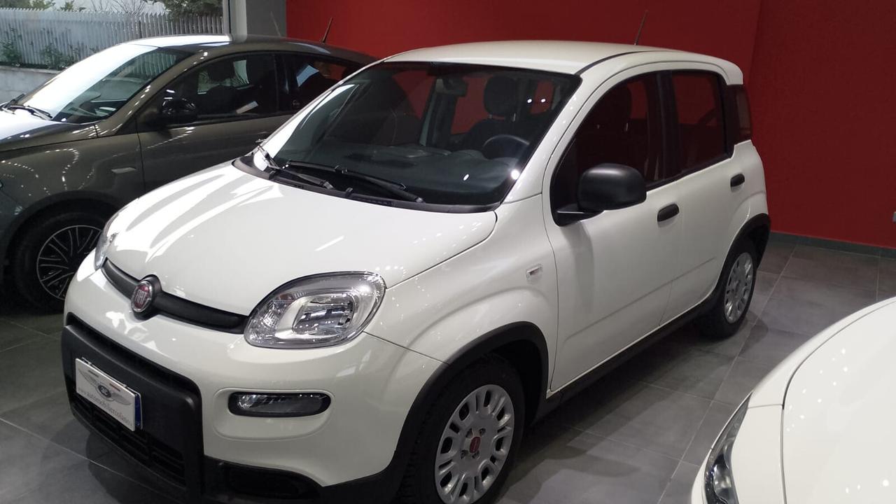 Fiat Panda 1.0 FireFly S&S Hybrid City Life