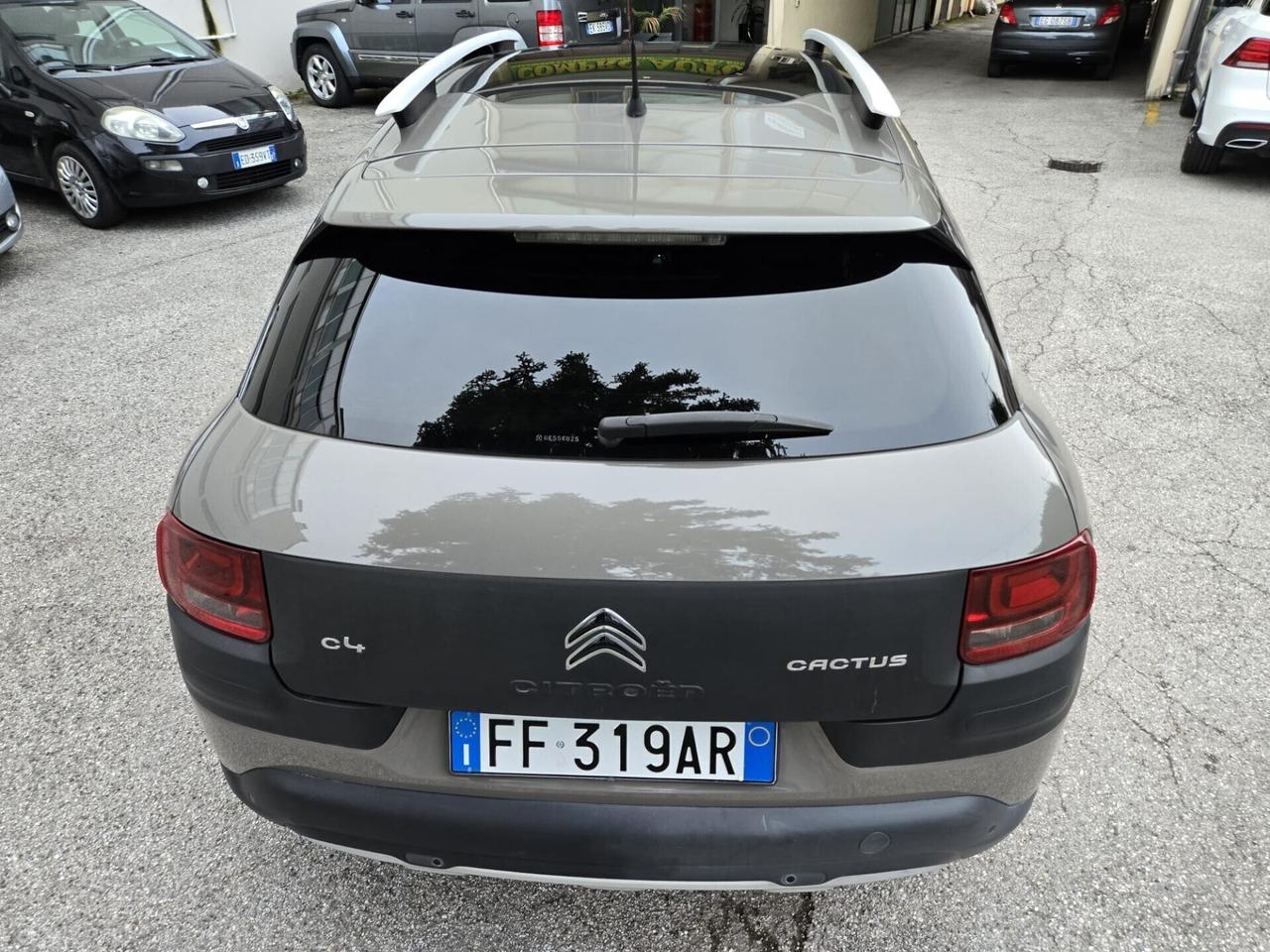 Citroen C4 Cactus BlueHDi 100 Rip Curl