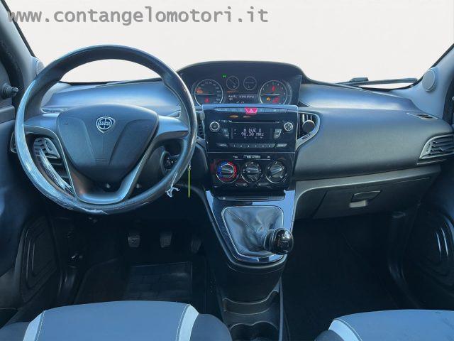 LANCIA Ypsilon 1.2 69 CV 5 porte Elefantino