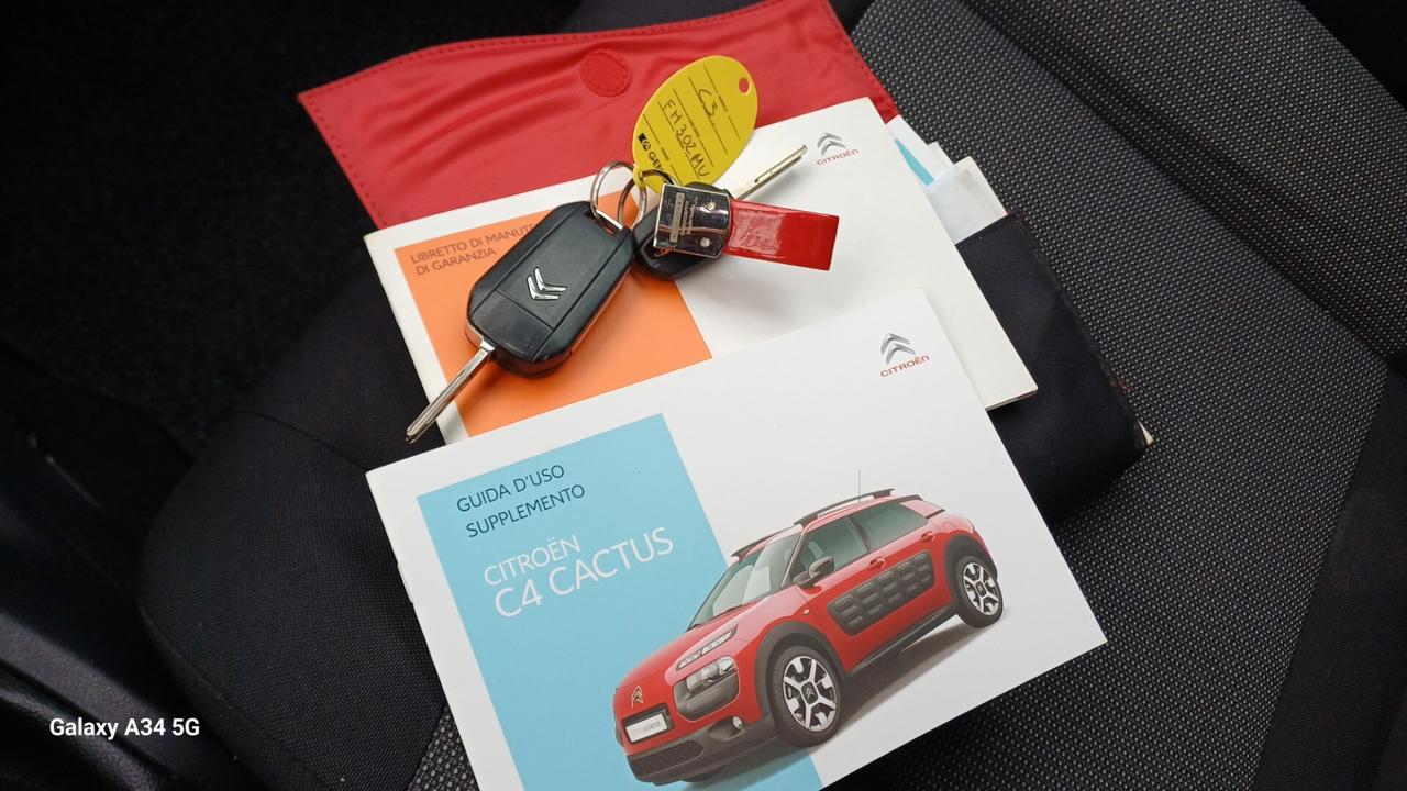 Citroen C4 Cactus BlueHDi 100 Rip Curl