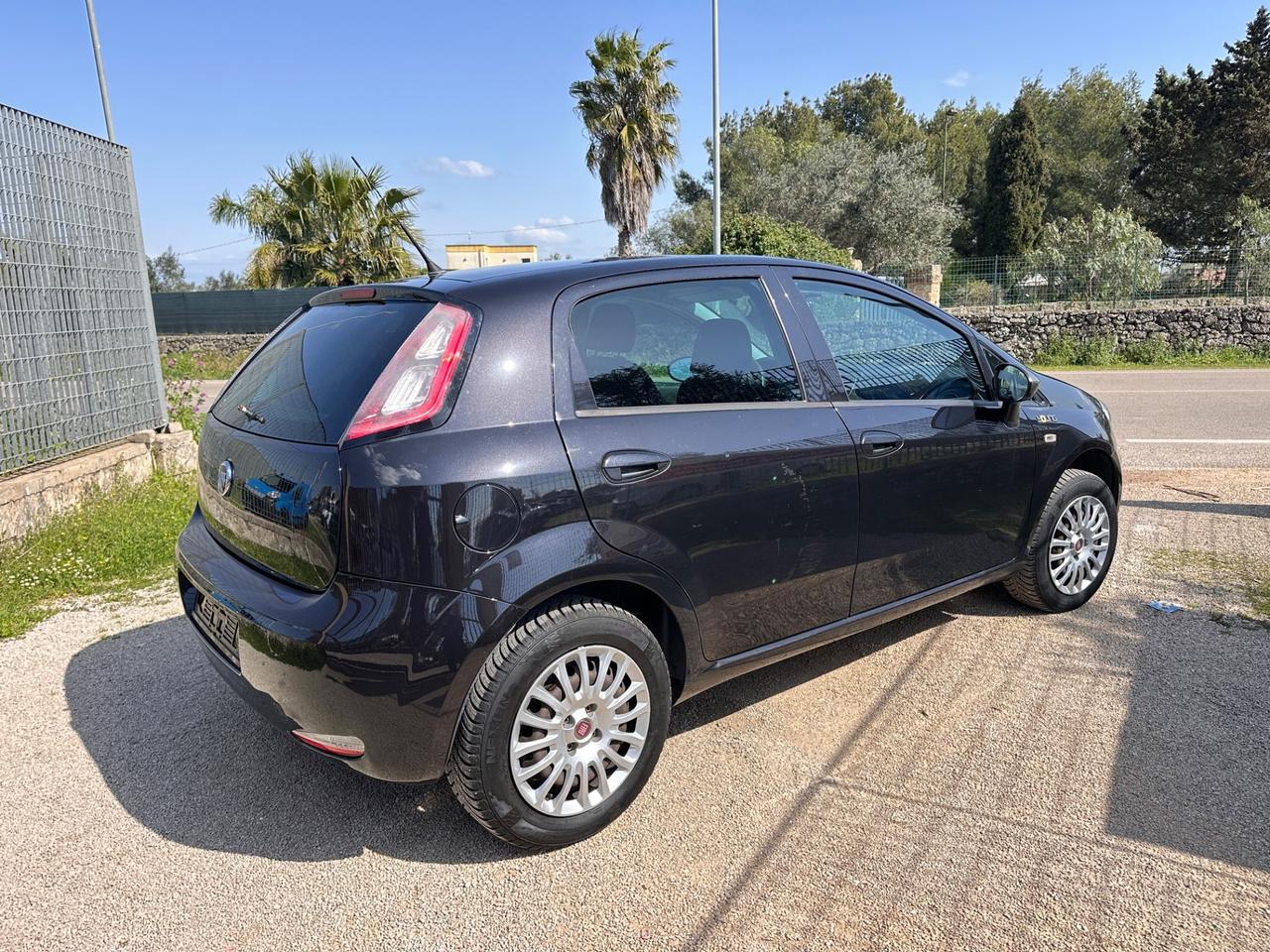 Fiat Punto Young 5 porte Lounge-2014
