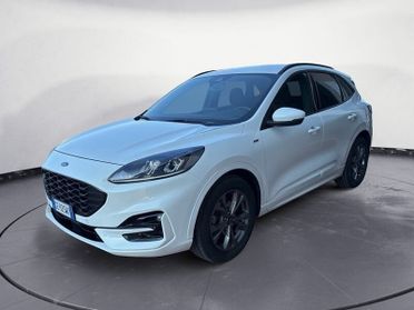 Ford Kuga Kuga 1.5 EcoBlue 120 CV aut. 2WD ST-Line