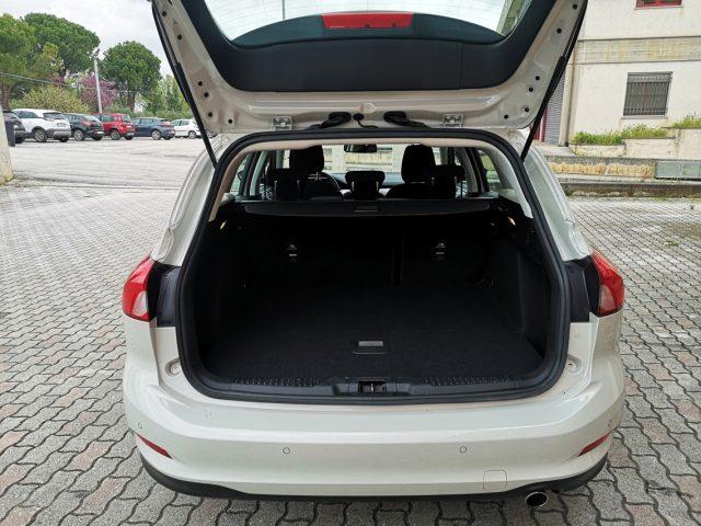 FORD Focus 1.5 EcoBlue 120 CV automatico SW Business Co-Pilot