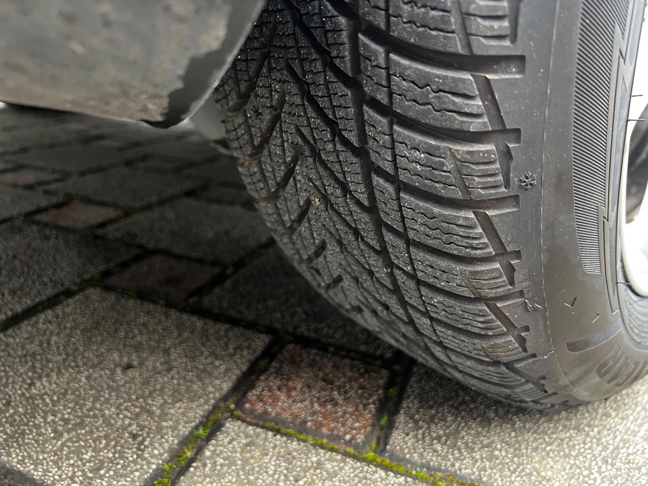 Ford Focus 1.5 EcoBlue 120 CV automatico SW Business Co-Pilot