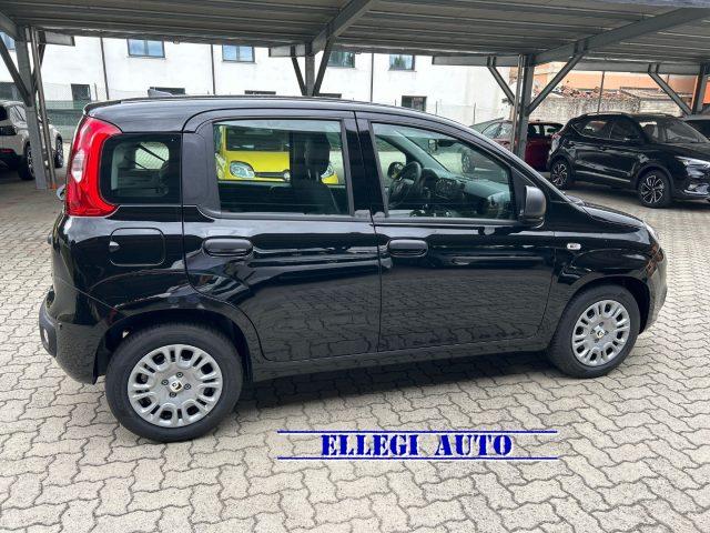 FIAT Panda 1.0 HYBRID 5 POSTI +PACK CITY KM 0
