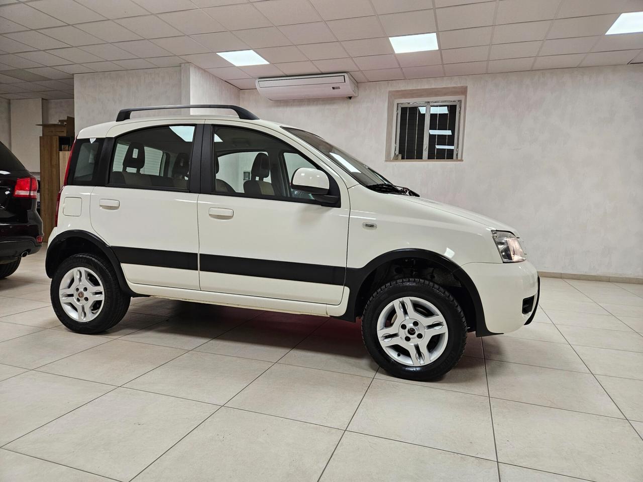 Fiat Panda 1.3 MJT 4x4 Van Active Trekking 2 posti
