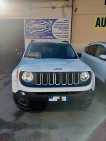 Jeep Renegade 1.6 MJT 105 CV business