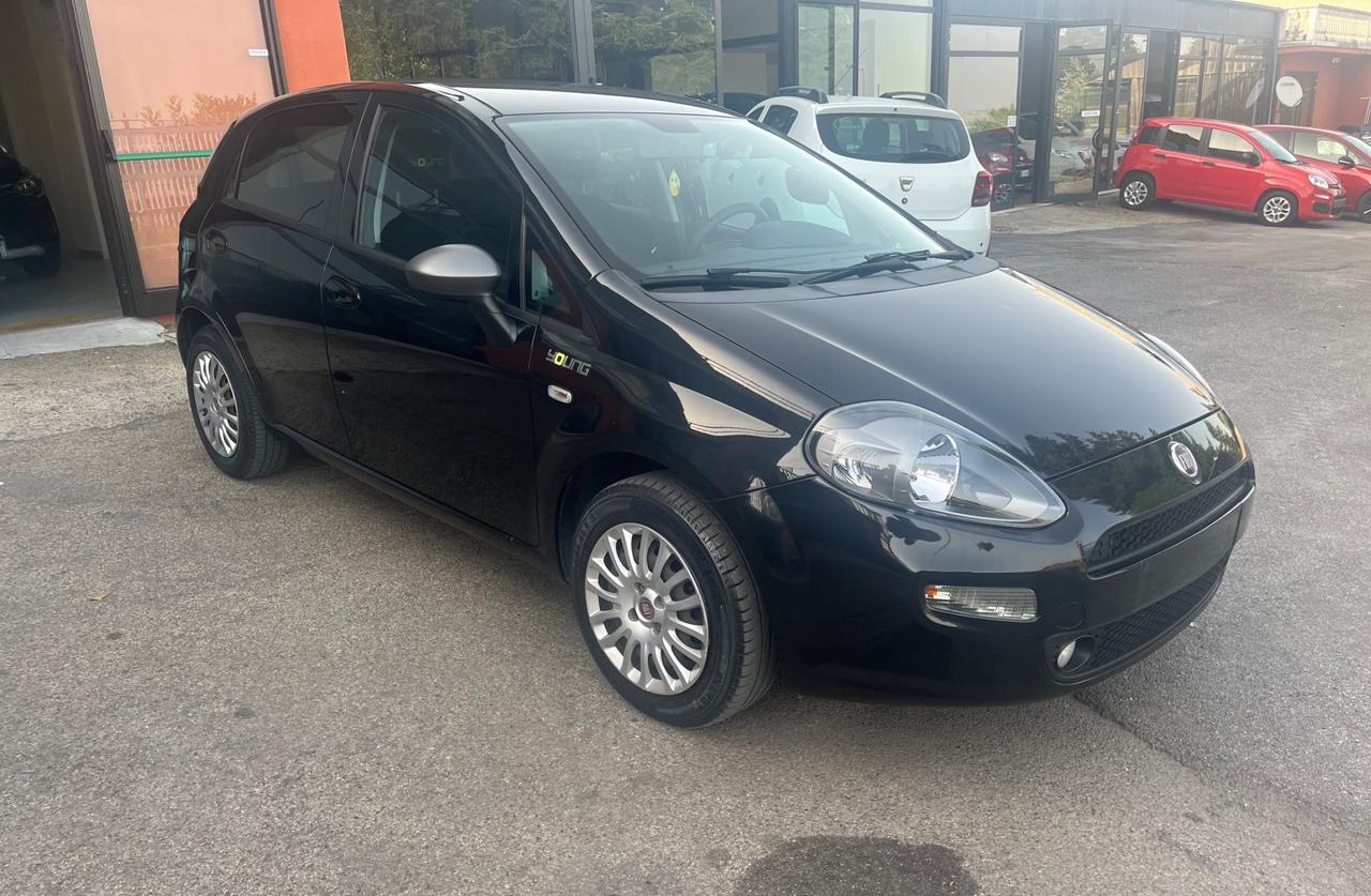 Fiat Punto 1.2 8V 5 Porte Young-soloKm 35000-