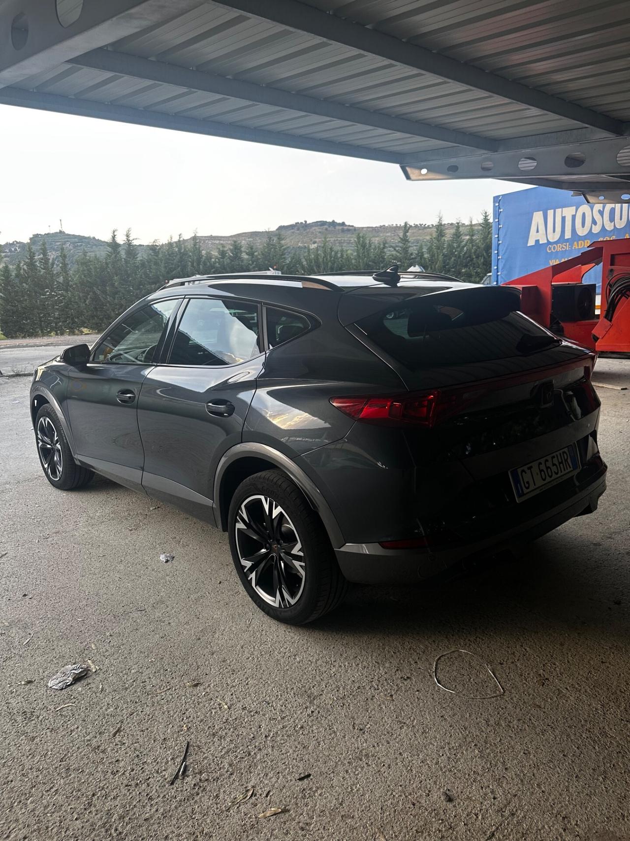 Cupra Formentor 2.0 TDI 4Drive DSG