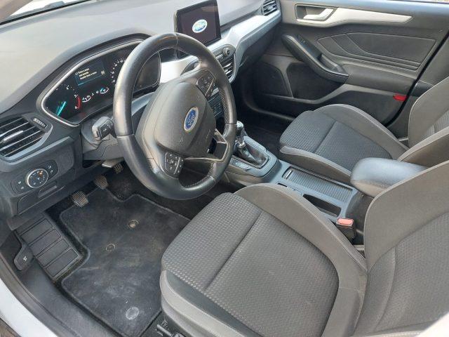 FORD Focus 1.5 EcoBlue 120 CV SW Business N1