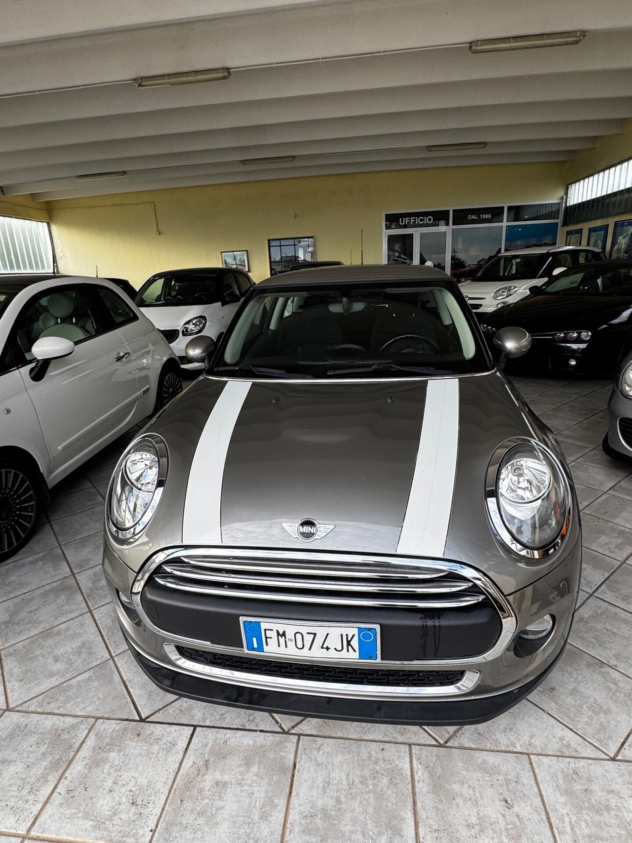 Mini 1.2 One Hype