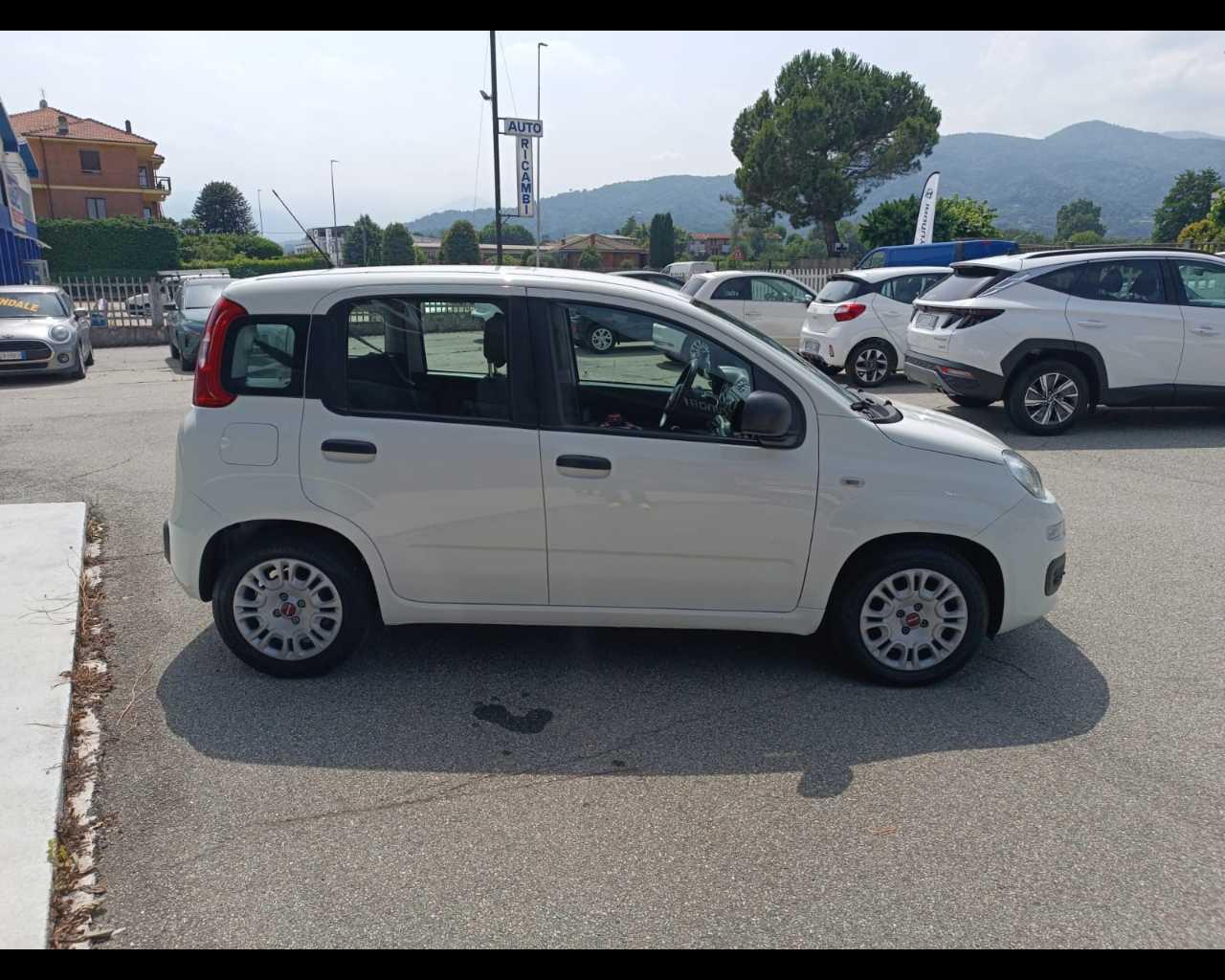 FIAT Panda III 2021 - Panda 1.0 firefly hybrid s&s 70cv