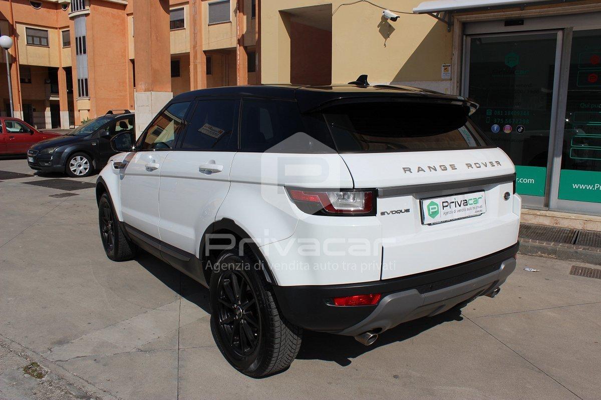 LAND ROVER Range Rover Evoque 2.0 TD4 150 CV 5p. Business Edition