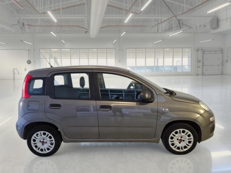 FIAT PANDA 1.2 69cv E6d-Temp Easy 5 PORTE