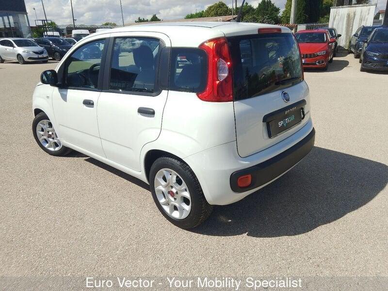 FIAT Panda Panda 1.0 FireFly S&S Hybrid Launch Edition